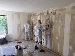 Best Mold Damage Restoration  in Maan, ND